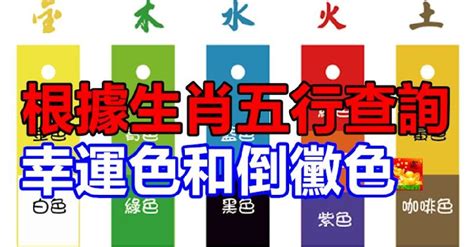 八字顏色喜忌|根據生肖五行查詢幸運色和倒霉色